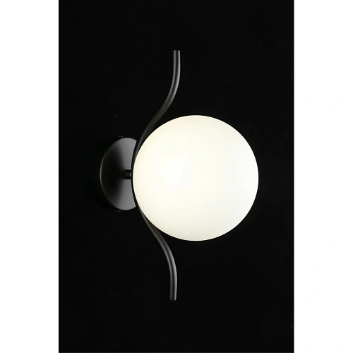 Светильник настенный (Бра) Aployt Jagna APL.312.01.01 Светильник настенный (Бра) Aployt Jagna APL.312.01.01