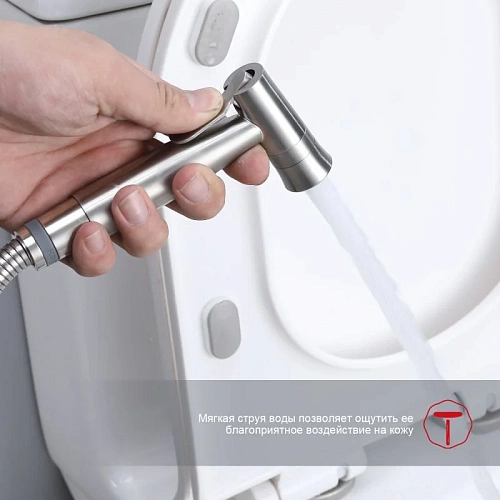 Гигиенический душ Raglo R10.52.05 встраиваемый, сатин Гигиенический душ Raglo R10.52.05 встраиваемый, сатин