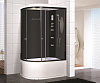 Картинка анонса товара «душевая кабина niagara ultra ng-214-01rn (1200х800х2200) высокий поддон (48см) стекло тонированное 2140134rn»