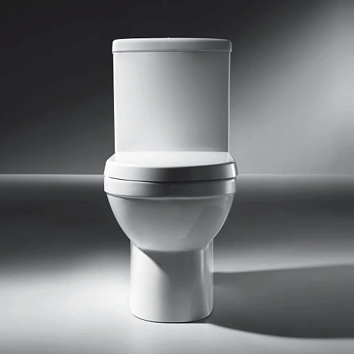 Унитаз напольный Bravat New Moon 14 крышка микролифт CX01014UW Унитаз напольный Bravat New Moon 14 крышка микролифт CX01014UW