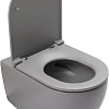 Унитаз подвесной Allen Brau Reality 4.32015.SG сиденье с микролифт серый матовый Унитаз подвесной Allen Brau Reality 4.32015.SG сиденье с микролифт серый матовый