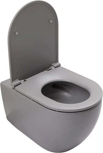 Унитаз подвесной Allen Brau Reality 4.32015.SG сиденье с микролифт серый матовый Унитаз подвесной Allen Brau Reality 4.32015.SG сиденье с микролифт серый матовый