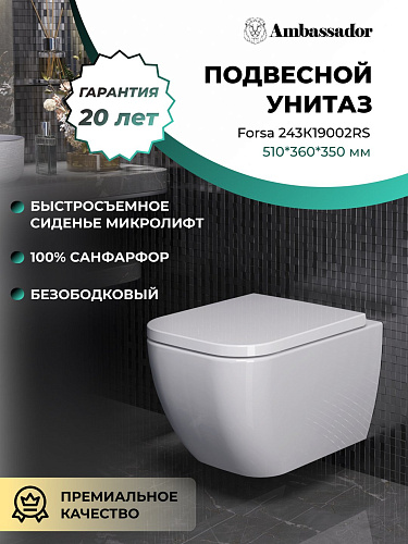 Унитаз подвесной Ambassador Forsa 243K19002RS (510x360x350) безободковый с сиденьем Унитаз подвесной Ambassador Forsa 243K19002RS (510x360x350) безободковый с сиденьем