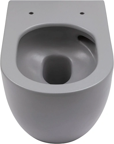 Унитаз подвесной Allen Brau Reality 4.32015.SG сиденье с микролифт серый матовый Унитаз подвесной Allen Brau Reality 4.32015.SG сиденье с микролифт серый матовый