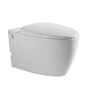 Унитаз подвесной ABBER Bequem AC1107P белый с импульсным смывом с крышкой микролифт Унитаз подвесной ABBER Bequem AC1107P белый с импульсным смывом с крышкой микролифт