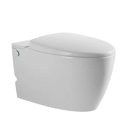 Унитаз подвесной ABBER Bequem AC1107P белый с импульсным смывом с крышкой микролифт Унитаз подвесной ABBER Bequem AC1107P белый с импульсным смывом с крышкой микролифт