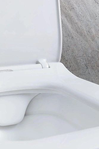 Унитаз подвесной Allen Brau Liberty 4.33007.21 с крышкой, белый матовый Унитаз подвесной Allen Brau Liberty 4.33007.21 с крышкой, белый матовый