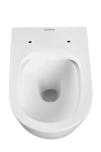 Унитаз подвесной CHARUS ESTELLA RIMLESS EWC700-121W безободковый, c легкосъемным сиденьем, с функцией микролифт Унитаз подвесной CHARUS ESTELLA RIMLESS EWC700-121W безободковый, c легкосъемным сиденьем, с функцией микролифт