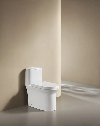 Унитаз напольный ARROW AB1802H белый без сиденья Унитаз напольный ARROW AB1802H белый без сиденья