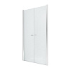 Картинка анонса товара «душевая дверь new trendy new soleo 100x195 d-0126a хром»