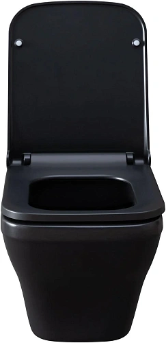 Унитаз подвесной Allen Brau Infinity 4.21011.31 с крышкой, черный матовый Унитаз подвесной Allen Brau Infinity 4.21011.31 с крышкой, черный матовый