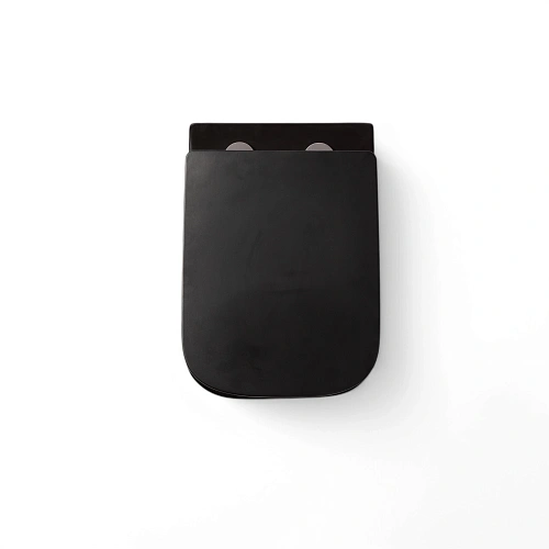 Унитаз подвесной CHARUS BLACK ALVA RIMLESS EWC700-114В безободковый c легкосъемным сиденьем микролифт Унитаз подвесной CHARUS BLACK ALVA RIMLESS EWC700-114В безободковый c легкосъемным сиденьем микролифт