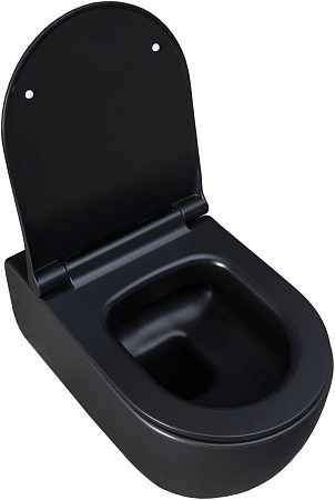 Унитаз подвесной Allen Brau Priority 4.31001.31 с крышкой, черный матовый