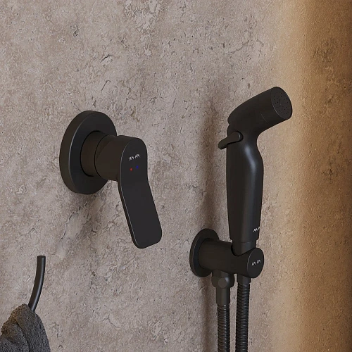 Унитаз подвесной AM.PM X-Joy CK85GI с сиденьем в комплекте с аксессуарами Унитаз подвесной AM.PM X-Joy CK85GI с сиденьем в комплекте с аксессуарами