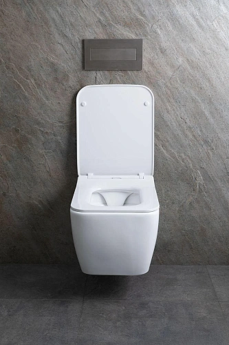 Унитаз подвесной Allen Brau Liberty 4.33007.21 с крышкой, белый матовый Унитаз подвесной Allen Brau Liberty 4.33007.21 с крышкой, белый матовый