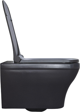 Унитаз подвесной Allen Brau Infinity 4.21011.AN с крышкой, антрацит