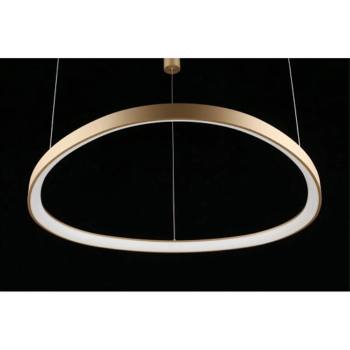 Люстра подвесная Aployt Zula APL.022.03.60 Люстра подвесная Aployt Zula APL.022.03.60