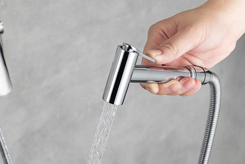 Гигиенический душ Aquatek ВЕГА AQ1019CR хром Гигиенический душ Aquatek ВЕГА AQ1019CR хром