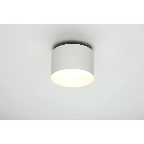 Светильник настенно-потолочный Omnilux Stezzano OML-100419-16 Светильник настенно-потолочный Omnilux Stezzano OML-100419-16