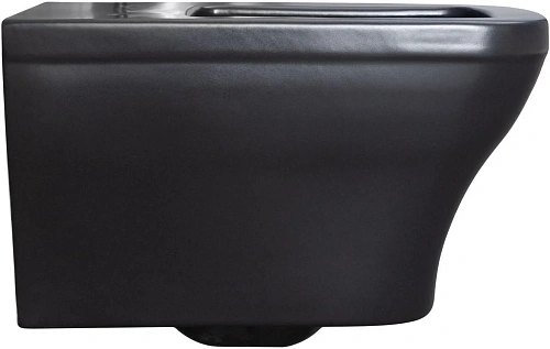 Унитаз подвесной Allen Brau Infinity 4.21011.31 с крышкой, черный матовый Унитаз подвесной Allen Brau Infinity 4.21011.31 с крышкой, черный матовый