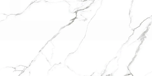 Керамогранит Neodom Ambassador Mckinley Glossy 60x120 CV20222 Керамогранит Neodom Ambassador Mckinley Glossy 60x120 CV20222