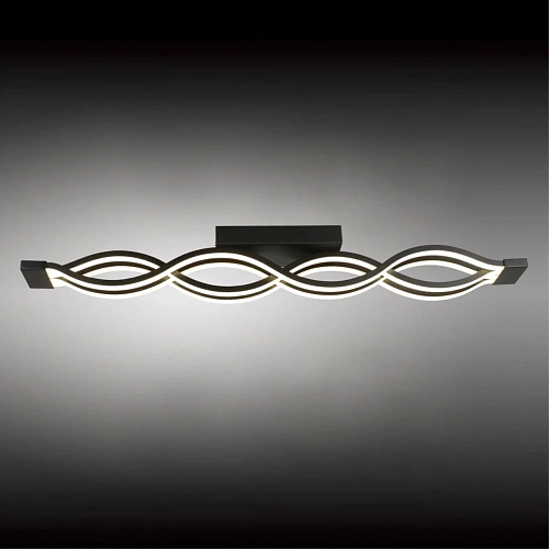 Светильник настенно-потолочный Aployt Nadayn APL.002.17.72 Светильник настенно-потолочный Aployt Nadayn APL.002.17.72