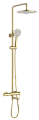 Душевая система Raglo R20.24.03, золотой сатин Душевая система Raglo R20.24.03, золотой сатин