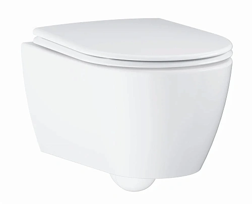 Унитаз подвесной GROHE Essence Ceramic, альпин-белый (3957100H) Унитаз подвесной GROHE Essence Ceramic, альпин-белый (3957100H)