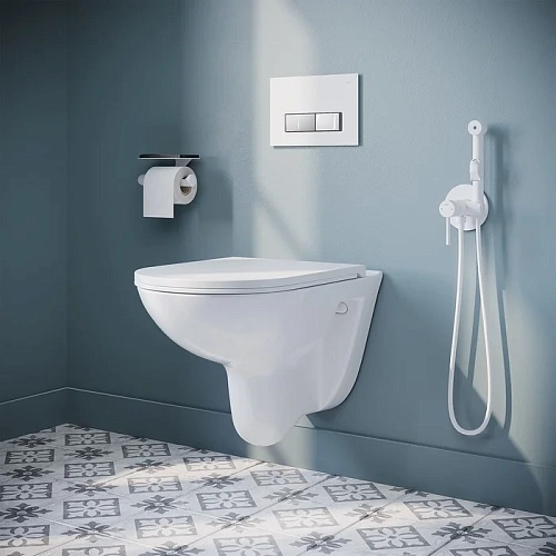 Унитаз подвесной IDDIS Zodiac безободковый ZDCRDSEi25 Унитаз подвесной IDDIS Zodiac безободковый ZDCRDSEi25