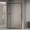 Картинка анонса товара «душевая дверь rgw passage pa-008b 1200 мм easy clean черный 350800813-14»