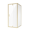 Душевой уголок Niagara Nova NG-43-10AG-A110G (100x110x195) прямоугольная, дверь распашная Душевой уголок Niagara Nova NG-43-10AG-A110G (100x110x195) прямоугольная, дверь распашная