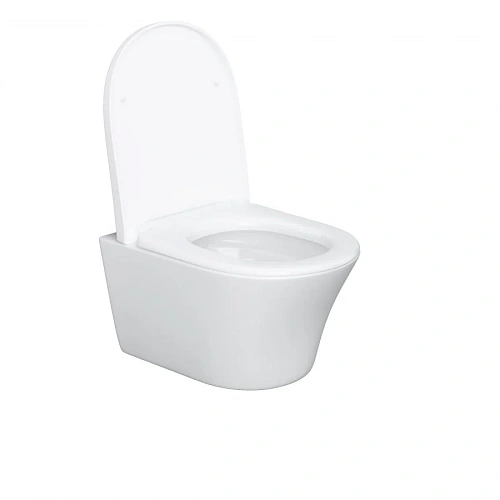 Унитаз подвесной Damixa Skyline DX35C1700SC безободковый с сиденьем микролифт Унитаз подвесной Damixa Skyline DX35C1700SC безободковый с сиденьем микролифт