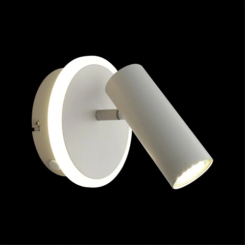 Светильник настенный (Бра) Aployt Stenia APL.005.01.02 Светильник настенный (Бра) Aployt Stenia APL.005.01.02