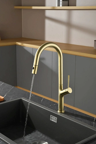 Смеситель для кухни AQUAme Cucina AQM9905BG с выдвижным изливом, с подключением к фильтру с питьевой водой, золото шлифованное Смеситель для кухни AQUAme Cucina AQM9905BG с выдвижным изливом, с подключением к фильтру с питьевой водой, золото шлифованное