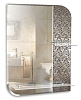 Картинка анонса товара «зеркало silver mirrors 550x750 2 полки/ пескоструйный рисунок вьюн (фр-00001101)»