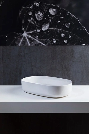 Раковина Allen Brau Fantasy 55 4.11022.20 белый Раковина Allen Brau Fantasy 55 4.11022.20 белый