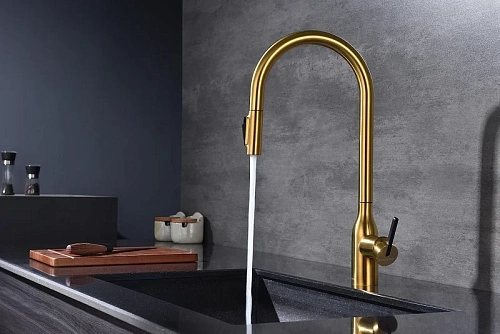 Смеситель для кухни Paulmark Universal брашированное золото Un213880-BG Смеситель для кухни Paulmark Universal брашированное золото Un213880-BG