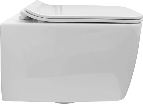 Унитаз подвесной Allen Brau Liberty 4.33007.20 с крышкой, белый Унитаз подвесной Allen Brau Liberty 4.33007.20 с крышкой, белый