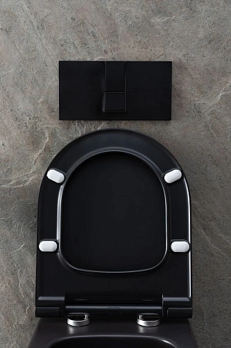 Унитаз подвесной Allen Brau Priority 4.31001.31 с крышкой, черный матовый Унитаз подвесной Allen Brau Priority 4.31001.31 с крышкой, черный матовый
