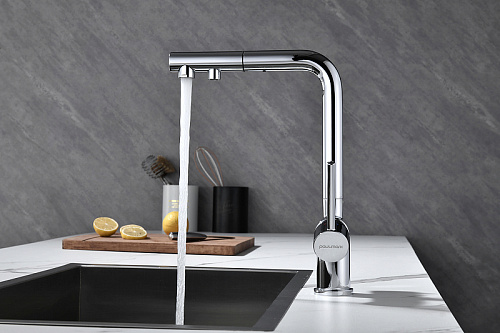 Смеситель для кухни Paulmark SERPENTINE хром Se213222-CR Смеситель для кухни Paulmark SERPENTINE хром Se213222-CR