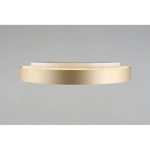 Светильник настенно-потолочный Aployt Virzhini APL.023.07.68 Светильник настенно-потолочный Aployt Virzhini APL.023.07.68