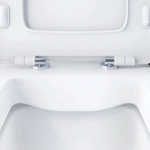 Унитаз напольный Damixa Titan DX78C8600SC безободковый с сиденьем микролифт Унитаз напольный Damixa Titan DX78C8600SC безободковый с сиденьем микролифт