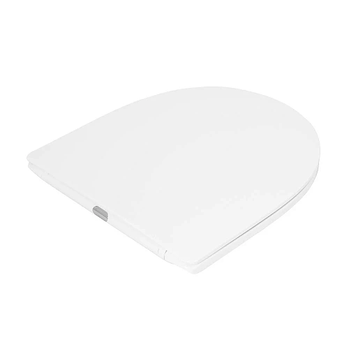 Унитаз напольный BelBagno ENERGIA BB8134CPR/SC безободковый с сиденьем Унитаз напольный BelBagno ENERGIA BB8134CPR/SC безободковый с сиденьем