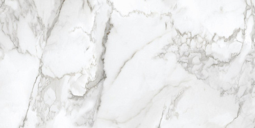 Керамогранит Neodom Ambassador Arabescato 60x120 CV20193 Керамогранит Neodom Ambassador Arabescato 60x120 CV20193