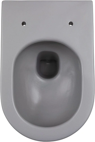 Унитаз подвесной Allen Brau Reality 4.32015.SG сиденье с микролифт серый матовый Унитаз подвесной Allen Brau Reality 4.32015.SG сиденье с микролифт серый матовый