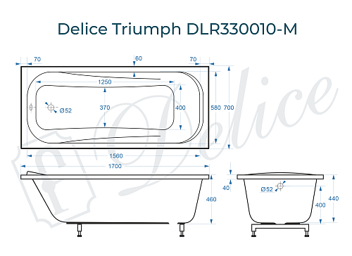 Ванна из искусственного камня Delice Triumph 170х70 DLR330010-M матовая Ванна из искусственного камня Delice Triumph 170х70 DLR330010-M матовая