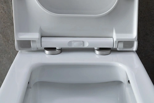 Чаша напольного унитаза Allen Brau Infinity 4.21012.20 с крышкой, белый глянец Чаша напольного унитаза Allen Brau Infinity 4.21012.20 с крышкой, белый глянец