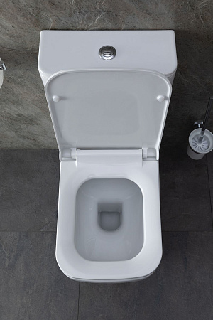 Чаша напольного унитаза Allen Brau Infinity 4.21012.20 с крышкой, белый глянец