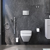 Картинка анонса товара «комплект унитаза am.pm inspire 2.0 ck50gd с инсталляцией, сиденьем микролифт, клавишей хром, гигиеническим душем и аксессуарами»