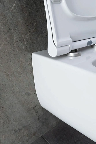 Комплект унитаза Allen Brau Priority 00301296/8.9466.0.000.000.1 (00316508) с инсталляцией, белый глянец Комплект унитаза Allen Brau Priority 00301296/8.9466.0.000.000.1 (00316508) с инсталляцией, белый глянец